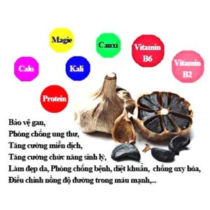 Tỏi Đen Thái Bình
